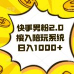 快手男粉2.0玩法，接入陪玩系统，日入躺赚1000+【揭秘】