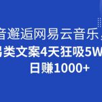 抖音邂逅网易云音乐，另类文案4天狂吸5W粉，日赚1000+【揭秘】