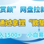 “赏颜”网盘拉新赛道，通过拿捏“欲望”日入1500+，小白易上手【揭秘】