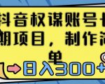 抖音权谋账号，长期项目，制作简单，日入300+【揭秘】