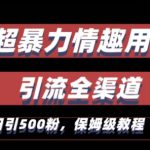 最新情趣项目引流全渠道，自带高流量，保姆级教程，轻松破百单，日引500+粉【揭秘】