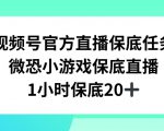 视频号直播任务，微恐小游戏，1小时20+【揭秘】