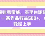 负债粉私域暴力掘金，小白操作入5000，无经验限制，无条件限制【揭秘】