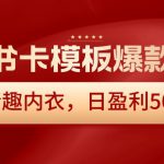 小红书卡模板爆款玩法，售卖情趣内衣，日盈利500+【揭秘】