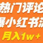 热门评论引爆小红书流量，作品制作简单，商单接到手软【揭秘】