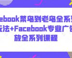 Facebook菜鸟到老鸟全系列运营玩法+Facebook专业广告投放全系列课程