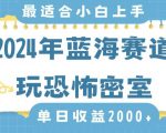 2024年蓝海赛道玩恐怖密室日入2000+，无需露脸，不要担心不会玩游戏，小白直接上手，保姆式教学【揭秘】