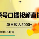 视频号囗播视频直播玩法，单日收入5000+，批量操作不封号【揭秘】