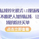 抖音引流私域转化模式1.0现场视频，从抖音源源不断把人加到私域，让加到私域的粉丝买单