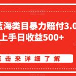 淘宝天猫蓝海类目暴力赔付3.0，懒人上手日收益500+【仅揭秘】