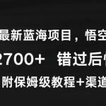 2024年最新蓝海项目，悟空网盘拉新，日入2700+错过后悔一年【附保姆级教程+渠道】【揭秘】