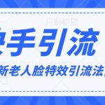 2024全网最新讲解老人脸特效引流方法，日引流100+，制作简单，保姆级教程【揭秘】