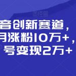 靠做抖音创新赛道，小白也能一个月涨粉10万+，回收账号变现2万+【揭秘】