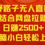 野路子无人直播结合网盘拉新，日赚2500+，小白无脑轻松上手【揭秘】