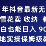 2024年抖音最新无人直播小雪花卖收纳教程，小白也能日入900+落地实操保姆级教程【揭秘】