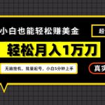 谷歌看广告撸美金2.0，无脑挂机，多号操作，月入1万刀【揭秘】