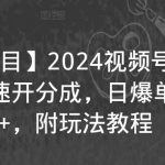 【蓝海项目】2024视频号分成计划，快速开分成，日爆单8000+，附玩法教程