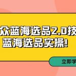 拼多多培训第33期：小众蓝海选品2.0技术-蓝海选品实操！