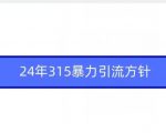 24年315暴力引流方针