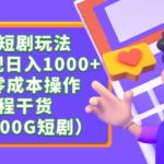 最新短剧玩法，暴力变现轻松日入1000+，私域零成本操作，全程干货（附1400G短剧资源）【揭秘】