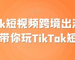 TikTok短视频跨境出海撸美金，带你玩TikTok短视频