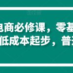 淘系虚拟电商必修课，零基础搞定原始积累，低成本起步，普通人可干