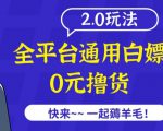 外面收费2980的全平台通用白嫖撸货项目2.0玩法【仅揭秘】