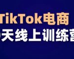 TikTok电商带货30天线上课，不可错过的全球流量洼地！