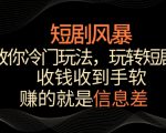 短剧风暴，教你冷门玩法，玩转短剧，收钱收到手软【揭秘】