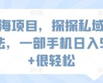 蓝海项目，探探私域新玩法，一部手机日入500+很轻松【揭秘】