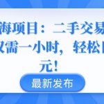 闲鱼蓝海项目：二手交易火爆，每日仅需一小时，轻松日赚千元【揭秘】