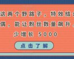 掌握这两个野路子，特效结合神奇布偶，能让粉丝数量飙升，至少增长 5000【揭秘】