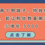 掌握这两个野路子，特效结合神奇布偶，能让粉丝数量飙升，至少增长 5000【揭秘】