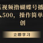 靠解压视频撸蝴蝶号播放收益，轻松日入500，操作简单，包过原创【揭秘】