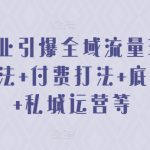 2024美业引爆全域流量玩法，素材打法 付费打法 底层逻辑 私城运营等