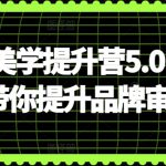 自媒体美学提升营5.0，手把手带你提升品牌审美