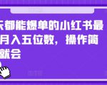 2024天天都能爆单的小红书最新玩法，月入五位数，操作简单，一学就会【揭秘】