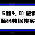 GPT(3.5和4.0)微调入门和实战，源码数据集实战案例