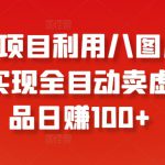 冷门项目利用八图片平台，实现全目动卖虚拟产品日赚100+【揭秘】