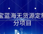 淘宝蓝海无货源定制细分项目，从0到起店实操全流程【揭秘】