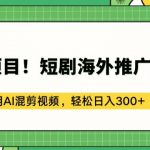 蓝海项目!短剧海外推广赚美金，利用AI混剪视频，轻松日入300+【揭秘】