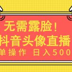 无需露脸，Ai头像直播项目，简单操作日入500+【揭秘】