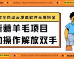 最新薅羊毛项目通过全自动云发单软件在羊毛平台无限捞金日入200+【揭秘】