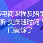 小红书电商课程及陪跑，课程反复听 实操随时问 学这一门就够了