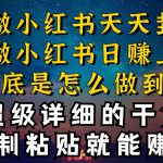 都知道小红书能引流私域变现，可为什么我能一天引流几十人变现上千，但你却频频封号违规被限流【揭秘】