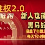 电商维权 4.0 如何做到月入 5 万+每天 1 小时新人也能快速上手【仅揭秘】