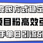 精准项目粉高效引流术，新手单日引流50+，多重变现方式稳定赚钱【揭秘】