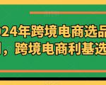 2024年跨境电商选品案例，跨境电商利基选品