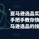 亚马逊选品实操课程，手把手教你快速掌握亚马逊选品的技巧