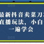 2024最新抖音卖菜刀3.0版本无人直播玩法，小白也可以一遍学会【揭秘】